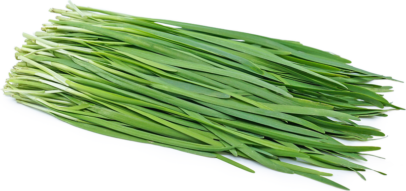 Chinese Chives