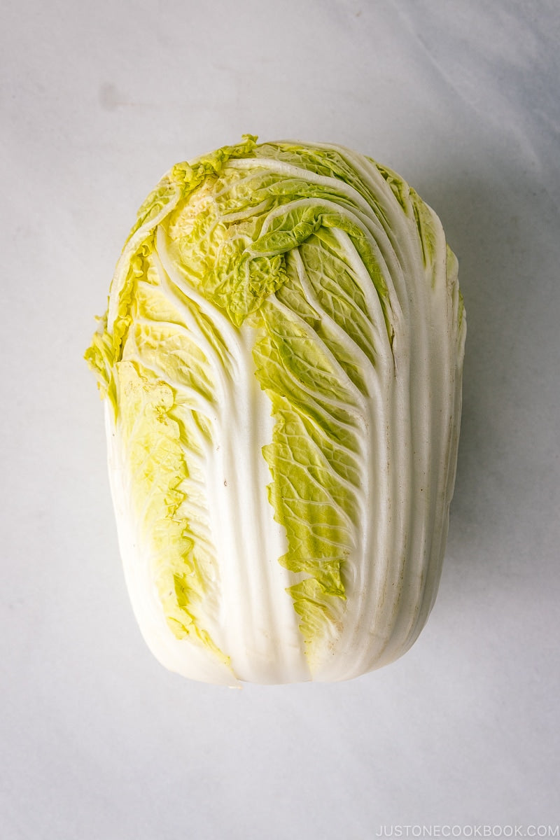 Nappa cabbage Hakusai