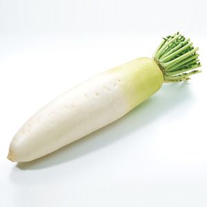 Radish Daikon
