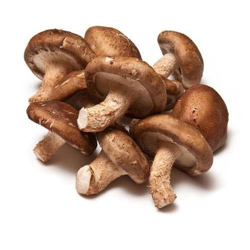 Shiitake Mushrooms