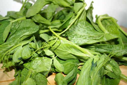 Snow Pea Tips