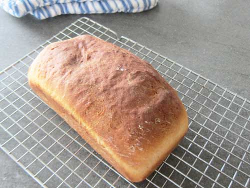 Tofu Bread