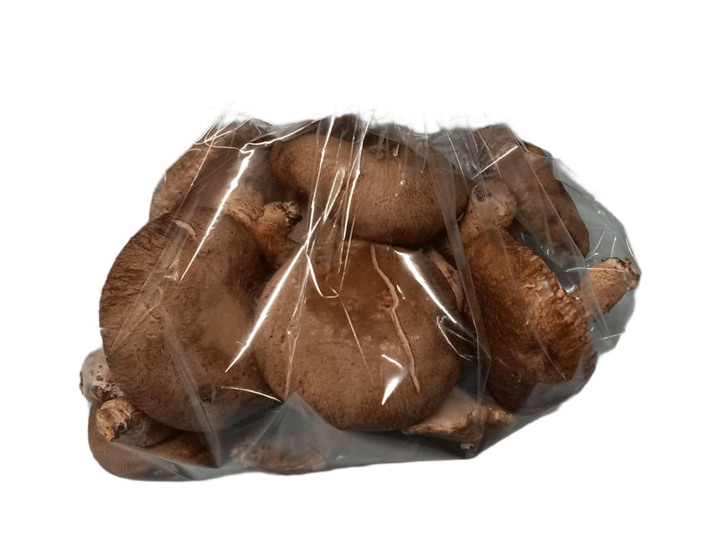 Fresh Shiitake Mushroom