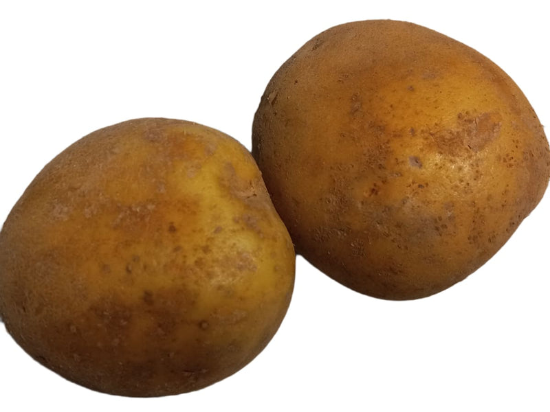 Fresh Potato