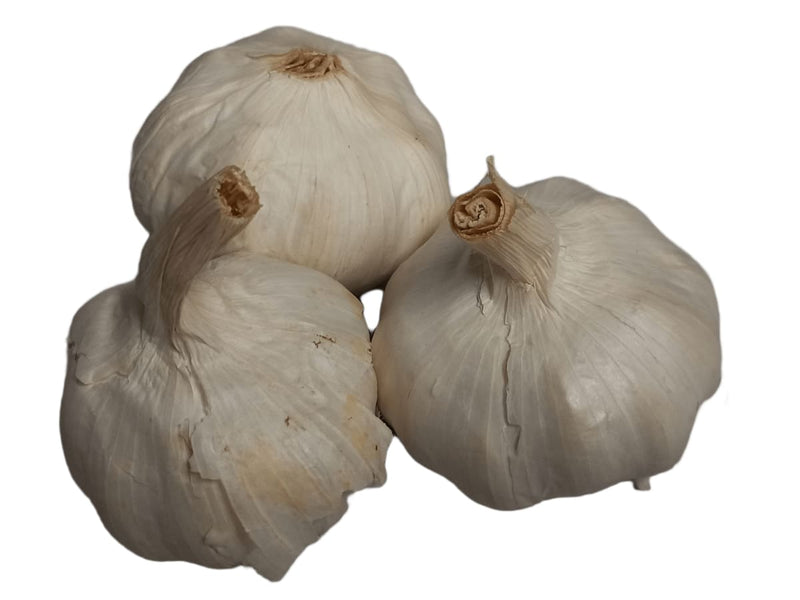 Fresh Garlic