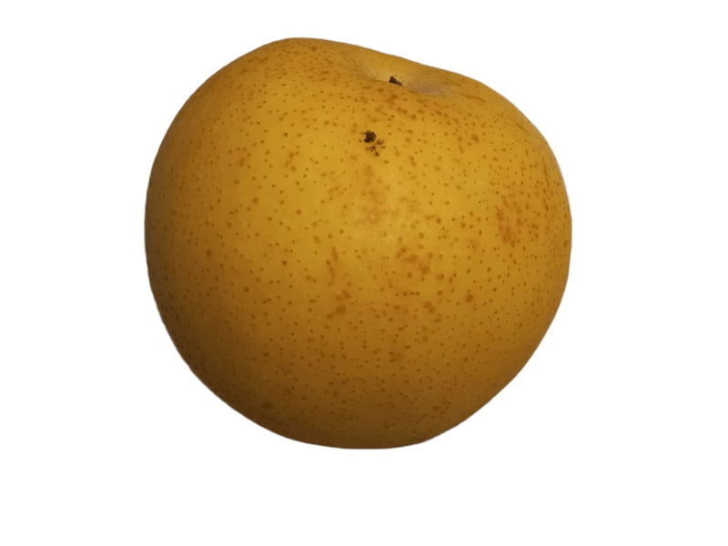 Fresh Asian Pear