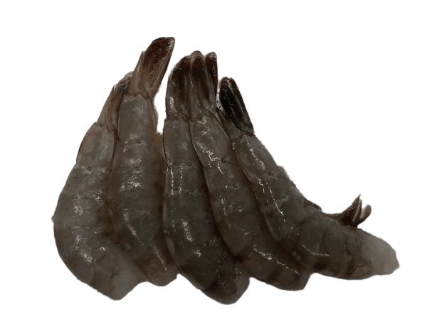 White Shrimp (16/20)