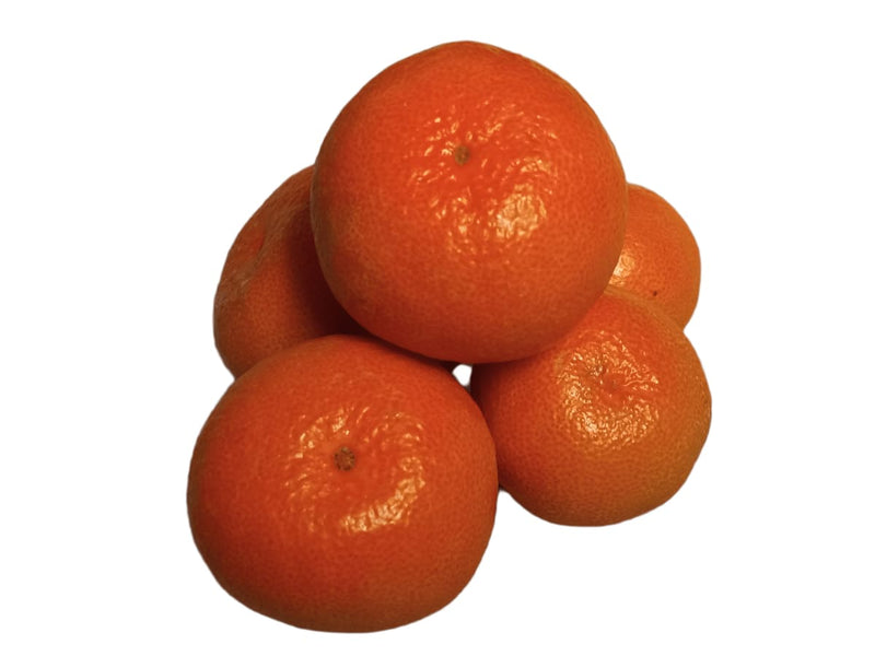 Satsuma Mikan