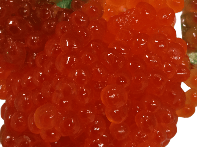 Salmon Roe Ikura