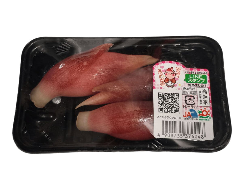 Fresh Myoga